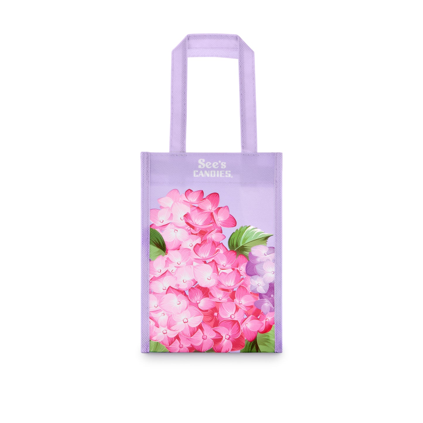 Spring Treat Bag